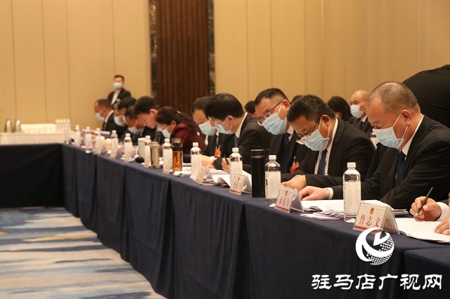 驻马店市人大代表分团审议市人大常委会工作报告和法检两院工作报告