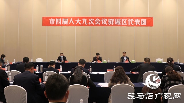 驻马店市人大代表分团审议市人大常委会工作报告和法检两院工作报告