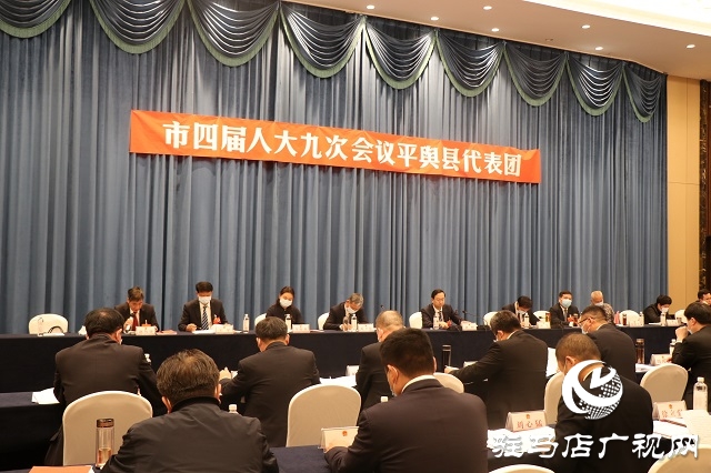 驻马店市人大代表分团审议市人大常委会工作报告和法检两院工作报告