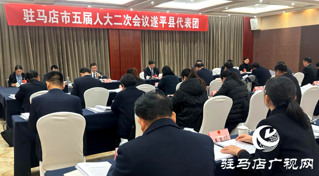 驻马店市人大代表审议市人大常委会工作报告和市法检两院工作报告