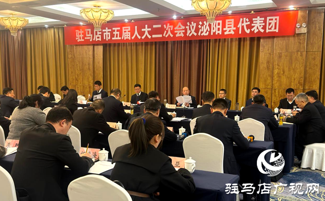 驻马店市人大代表审议市人大常委会工作报告和市法检两院工作报告