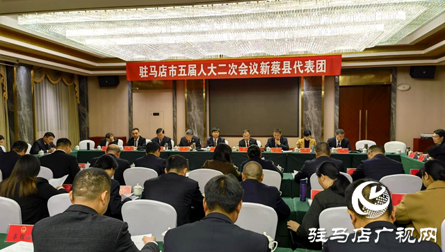 驻马店市人大代表审议市人大常委会工作报告和市法检两院工作报告
