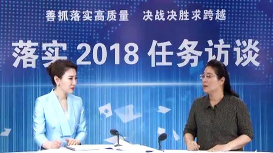 落实2018任务访谈--专访市卫计委党组书记、主任李桂霞
