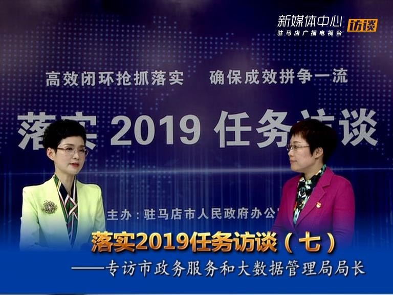 落实2019任务访谈--市政务服务和大数据管理局局长王静娴