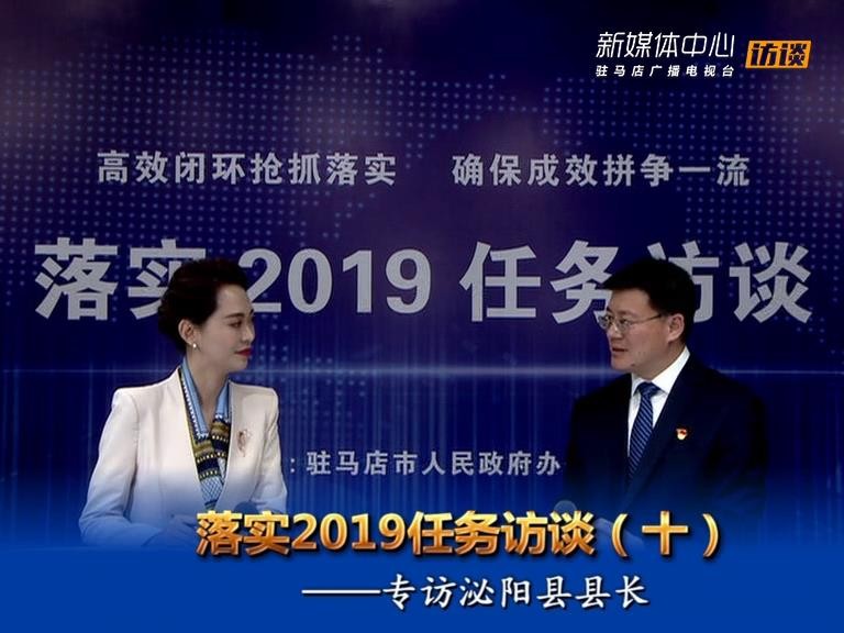 落实2019任务访谈--泌阳县人民政府县长魏华伟