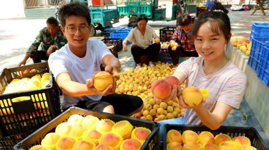 驻马店市驿城区：返乡创业大学生做乡村振兴“新农人”