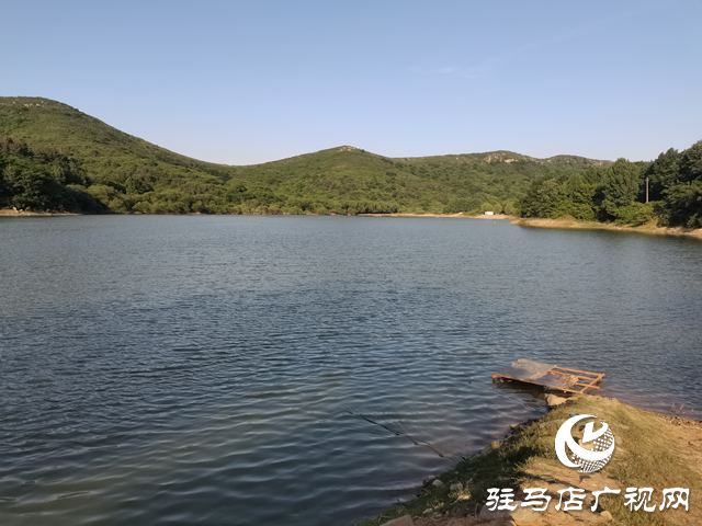 驿城区胡庙乡：守护绿水青山 共筑生态家园